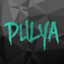 PuLyA perfs