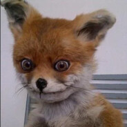 PortalFoxPro avatar