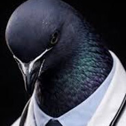 AhmetteTR avatar