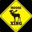 moose