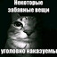 ПАПА Стиффлера