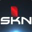 Skn