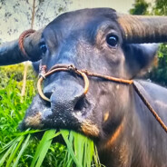 热心群众    C先生