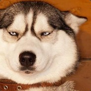 傻乎乎的黄洁仪