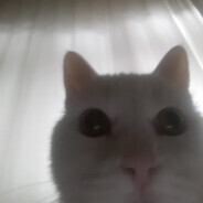 mushae - steam id 76561198152812008