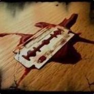 Rabbit - steam id 76561197971567062
