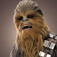 lil chewbacca 's avatar