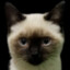 Smudge