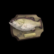 HOMER TIMSON #WHITEPOWDER