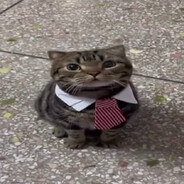 :3