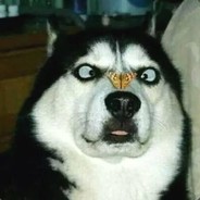 劳资精灵把把空