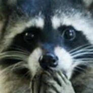Енот Потаскун