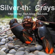 一身清贫怎敢入繁华，两袖清风怎敢误佳人。