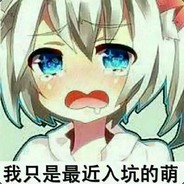 我只是刚入坑的萌新