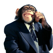 Monkey