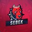 SeBeK csgo-skins.com