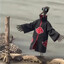 VELYNXX avatar
