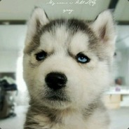 我不行我也不上我就BB