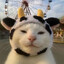 Steam avatar