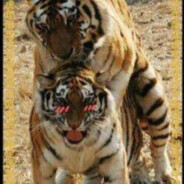 口渴嘬我小乌龟