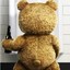 Tedd