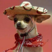 Amigo!