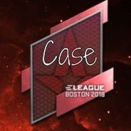 Case