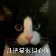 几把猫很担心你