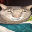monkeydrip10