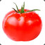 TOMATE