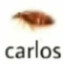 Carlos