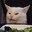 kote_gato