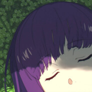 布加拉提心碎小猫收容