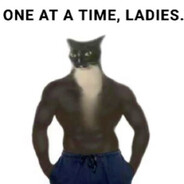 meow