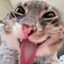 rigby enjoyer's avatar