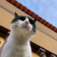 caco