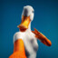 goose