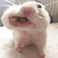 SquishyVaseline