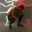 Trexican avatar