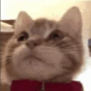 cati