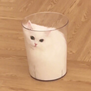 战意电竞楚雨荨