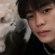 爱情公寓突破手曾小贤