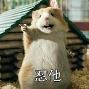 素质三连
