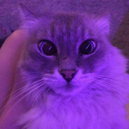 Михаил (Glitch)