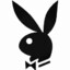 PlayBoy