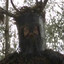 The Knights Who Say Ni