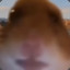 ham