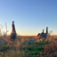 wyonichu
