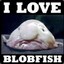 ninatheblobfish