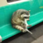 Benchcoon